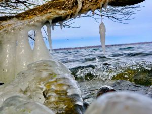 103Fishing lureEric RodeSeneca County