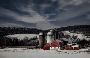 22 																																																							Winter in the Country		Casey PierceHerkimer