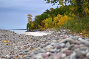 56Fall at the beach Patrick Varley Oswego County