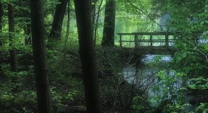 59Bridge at Green Lakes  Anne Messenger   Onondaga County