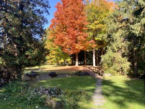 21 																																				Rock Garden Bridge in the FallJessica Gregory					Ontario