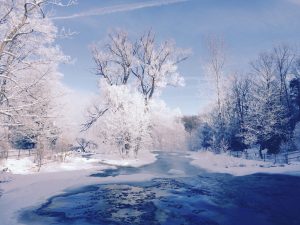 114Chittenango Creek before the fallsMichael Rauer Madison County