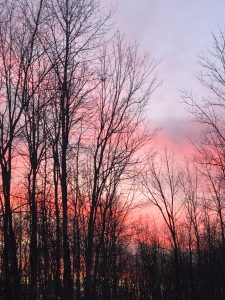 4 Christmas Treasure In the SkyJulie Persse Onondaga County