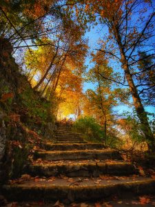 14 																																		Stairway to HeavenBarb Williams		Madison