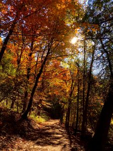 33Peak colors at Green Lake Lynette Geisinger  Onondaga County