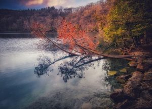 47Evening Lakeside Reflective Luminance Lev Grunstein  Onondaga County