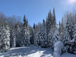 142Winter WonderfulSusan O’Meara Oneida County