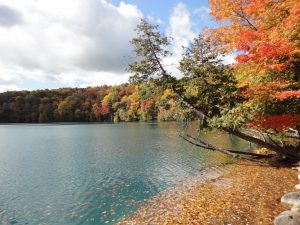 19 Green Lakes David Poorman Onondaga County