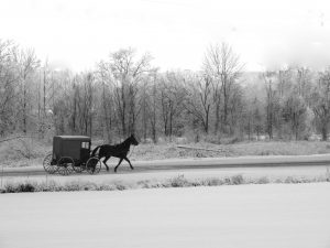 81 A little taste of days gone by..Martha Shields Seneca County