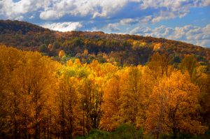 54An October afternoonTimothy Kane Onondaga County