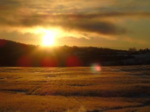 44Frozen Sunrise (-3 degrees)Monica Antone Oneida County