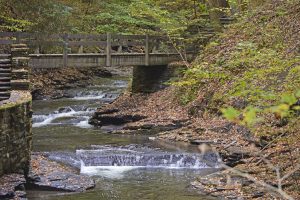 35Filmore Glen State Park, Moravia NYLinda Chapman Cayuga County