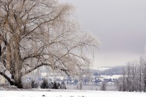 58 Skaneateles Lake taken from Coon Hill RoadLinda Chapman Onondaga County