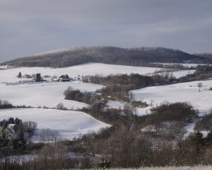 17Virgil Creek Valley and the Virgil HillsBard V Prentiss Cortland County