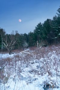 25Rising Moon over the SwampDavid Spaulding Cortland County