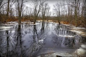 79 Winter at Mud CreekJan Miner Onondaga County