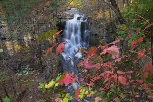 42Edwards Lake Cliffs  David Spaulding  Tompkins County