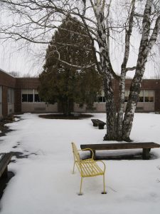 124 Snowy CourtyardDanielle Pilatzke Oneida County