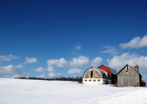 105South of SemproniusKirstin Streeter Cayuga County