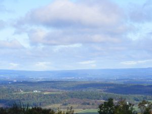 63Rt 20 Cherry Valley near The Tepee DALE LATELLA Otsego County