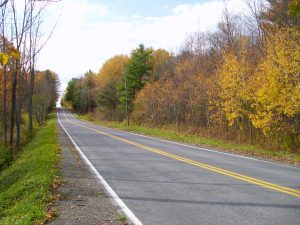 41 Late Fall, Down a Windy Road Nancy Winnie Tompkins County