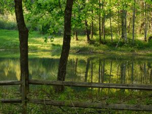 2Springs ReflectionKelly Mercurio Herkimer  County