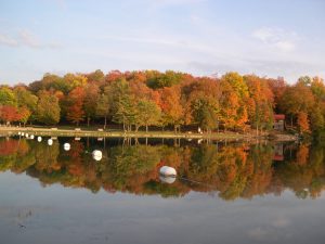 48 Green LakesCheryl Hickein Onondaga County