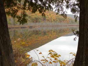 69 Labrador Pond, Tully, NYBetty Glover Cortland County