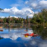63 																																																																																											
Fall Leaves Floating on a Cloud																																																																Jill Andrews																																														Oswego