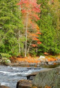 37Happy Fall Patti Schiano Herkimer County