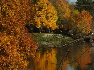 76Overlooking the canalLorraine Severin Onondaga County