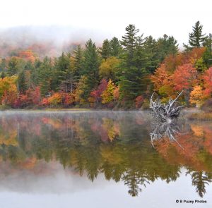 67 																																																			Early October Morning			Babette PuzeyHerkimer