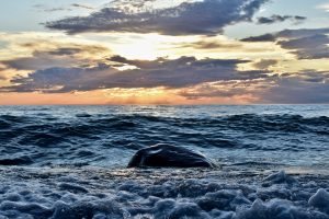 33Sunset on Lake Ontario Andrew Byrne   Cayuga County