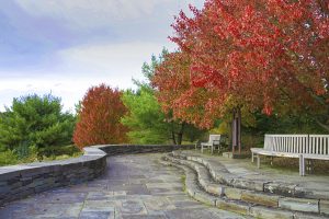 66The Newman Overlook at Cornell University's ArboretumCynthia Massicci Tompkins County