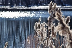 27Onondaga Lake Trail Near Boat HouseCindy Bevan Onondaga County