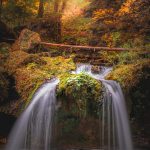 57 																																																																																											
Autumn Waterfall																																																													Jason Richards																																											Herkimer