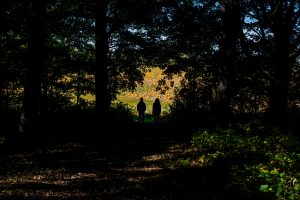 88Pumpkin ParadiseLisa Troubetaris Onondaga County