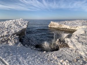 56 																																																											A Day at the Beach		Babette Puzey							Oswego