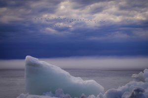 3 	Oneida Lake Spring Fog Jodi Towne Broome