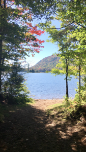 3 Beautiful entranceLisa Sweeting Herkimer County