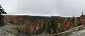 62Black Bear Mountain Summit, Old Forge, NYKelsey Jedra Herkimer County