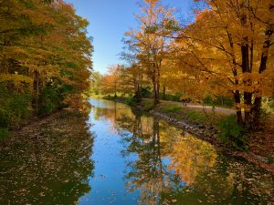 64 																																																	Erie Canal Reflections	Kathleen Ferguson	Onondaga