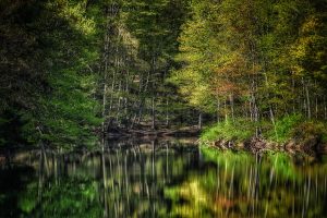 10Quiet ReflectionsBarbara Williams Onondaga County