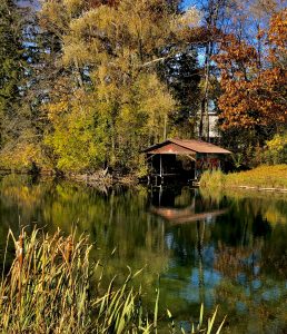 53 																																											Autumn on the River	Lynette GeisingerCayuga