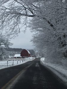 90Sheppard Farm on Rockefeller Road MoraviaSamantha Pennell Cayuga County