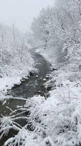 4Snow Creek Patrick OConnor Onondaga County