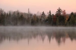 28Peaceful tranquil fog Shelli ButlerWayne County