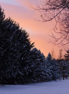 55									Winter Hues			Shelli ButlerOswego