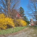 17 																																																																																											
Spring on the Farm																																																																																																							David Spaulding																																																																Cortland