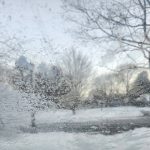14 																																																																																											
Frozen WindowDennis Kinsey																																																																																																																																				Onondaga